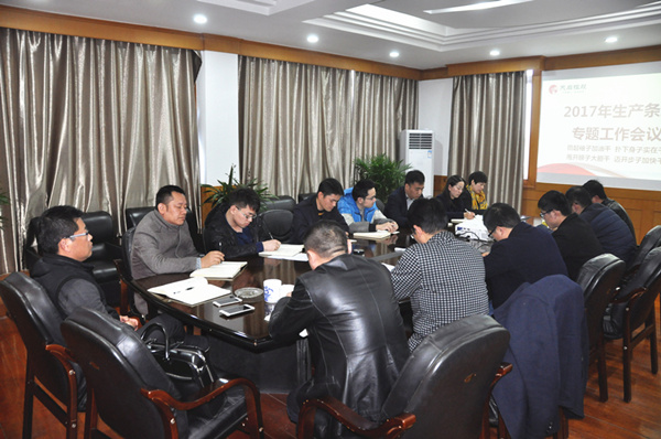 集团公司组织召开各条线2017年度工作专题会议