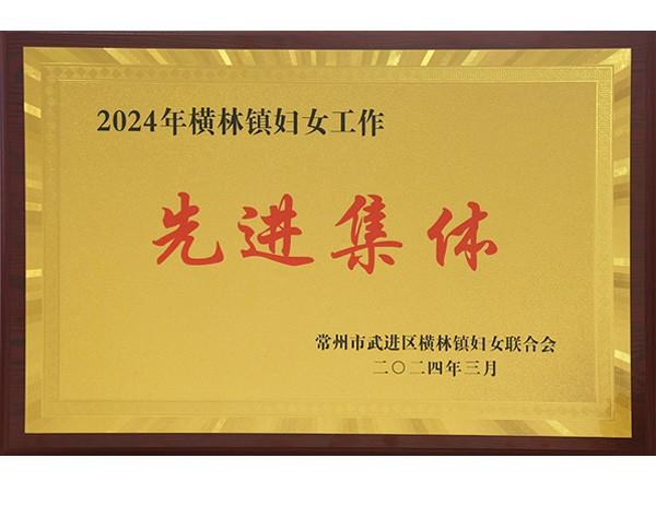 2023年度横林镇妇女工作先进集体